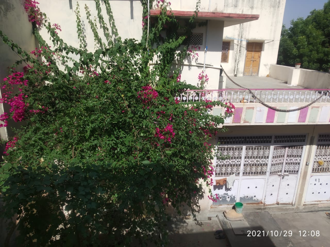 1170 SQ. FT. Residential Plot In MERWAR JUNCTION, Pali